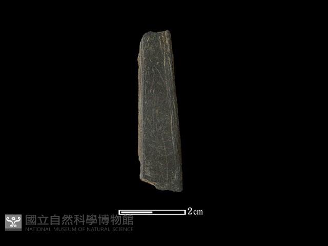 帶加工痕石材藏品圖，第1張