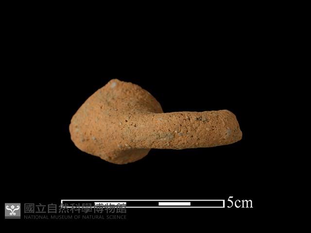 Accession Number:BY-2017-0935 Collection Image, Figure 2, Total 2 Figures