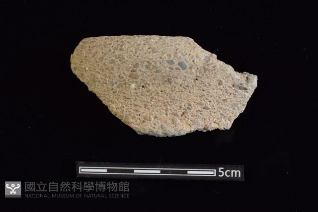 陶片藏品圖，第1張