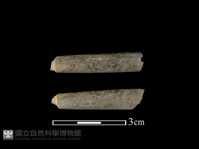 網墜藏品圖，第1張