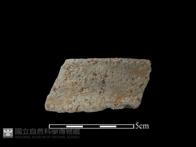 陶罐藏品圖，第1張