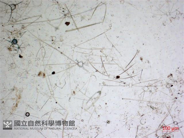 登錄號:A00004655藏品圖，第2張
