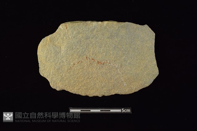 石片器藏品圖，第1張