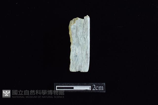 錛鑿形器藏品圖，第2張