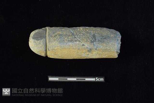 網墜藏品圖，第1張