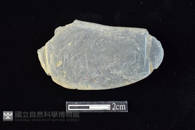 網墜藏品圖，第1張