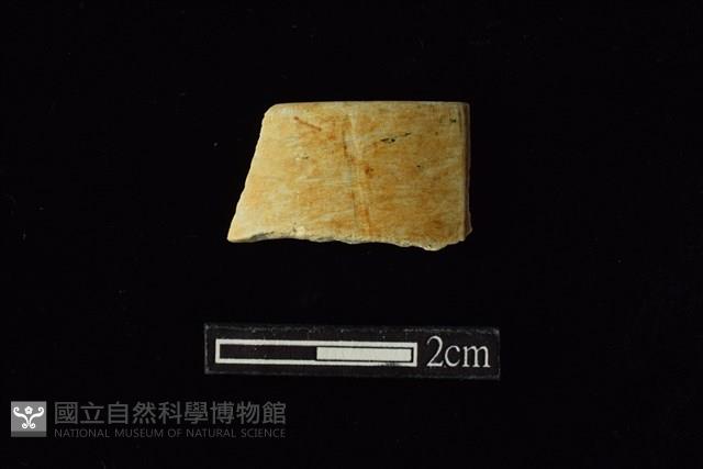玉料藏品圖，第1張