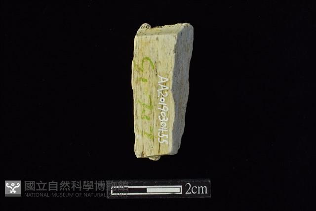 錛鑿形器藏品圖，第1張