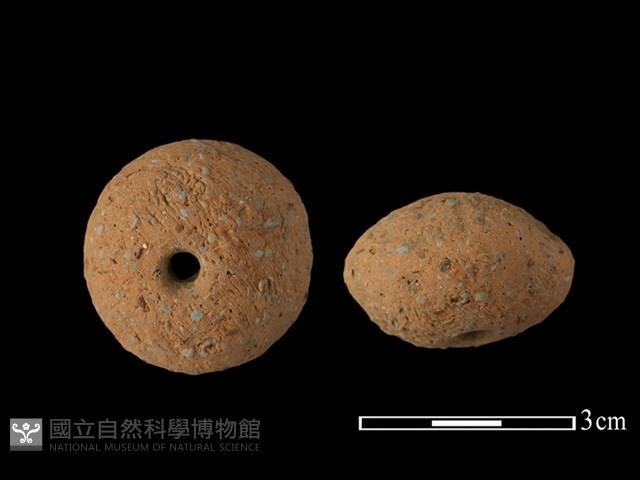 紡輪藏品圖，第1張