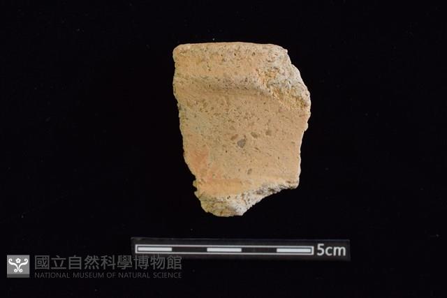 陶罐藏品圖，第1張