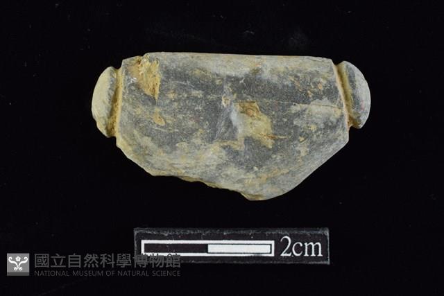 網墜藏品圖，第1張