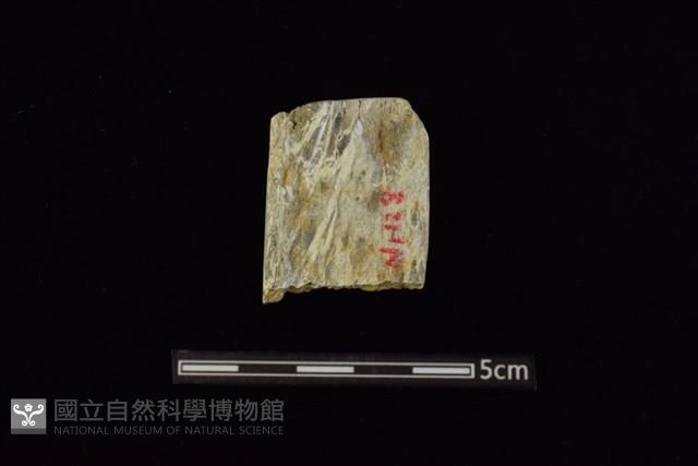 錛鑿形器藏品圖，第1張
