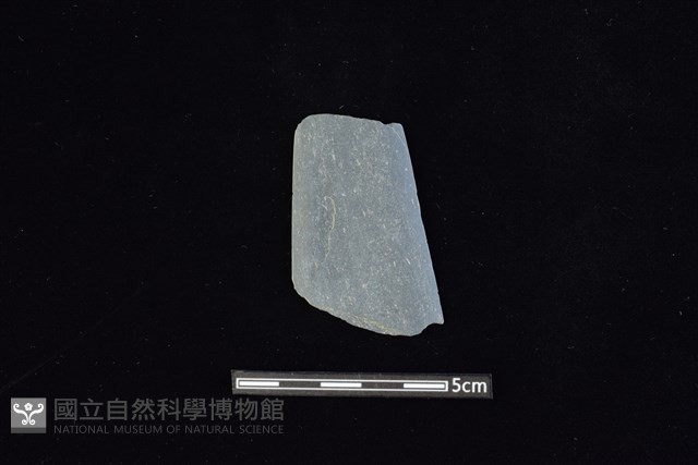 矛鏃形器藏品圖，第1張