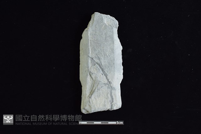 戈形器藏品圖，第1張