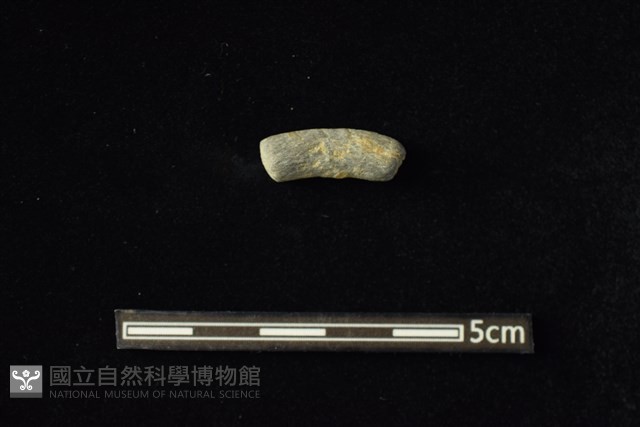 陶環藏品圖，第1張