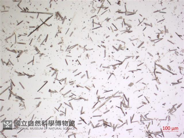 登錄號:A00004625藏品圖，第2張