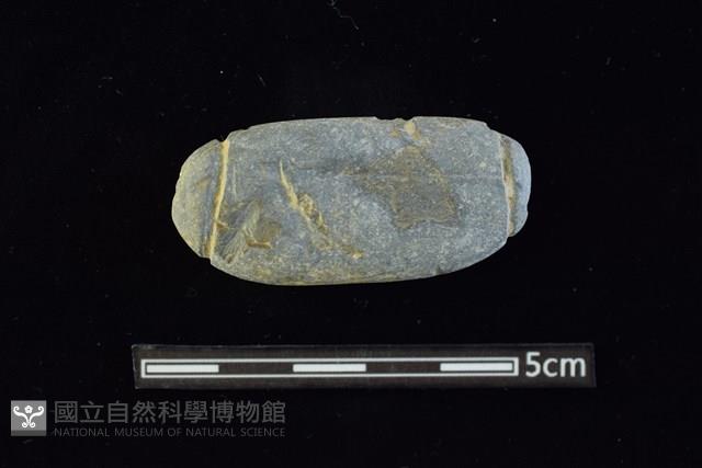 網墜藏品圖，第1張