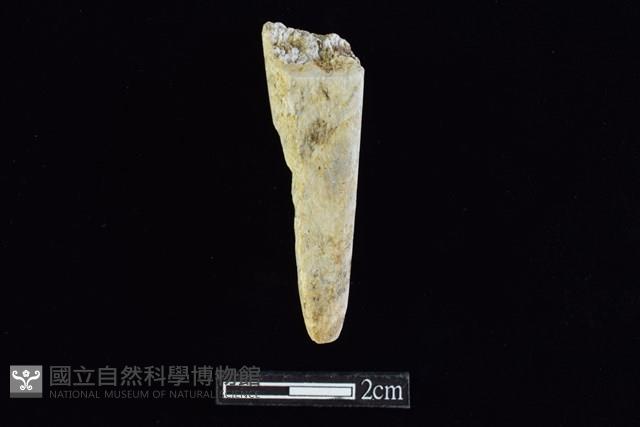 錛鑿形器藏品圖，第2張