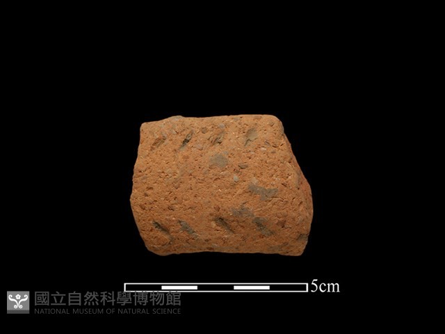 陶把藏品圖，第1張