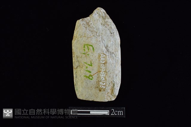 錛鑿形器藏品圖，第2張