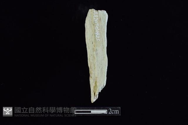 錛鑿形器藏品圖，第1張