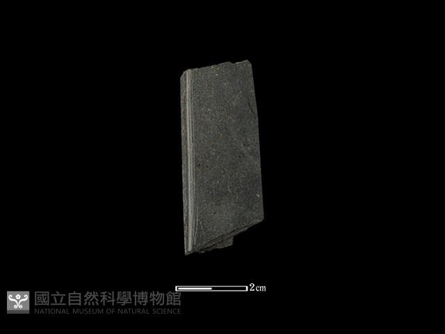 帶加工痕石材藏品圖，第1張