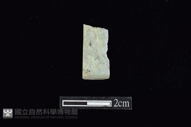 錛鑿形器藏品圖，第1張