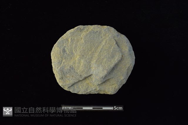 石圓片藏品圖，第1張