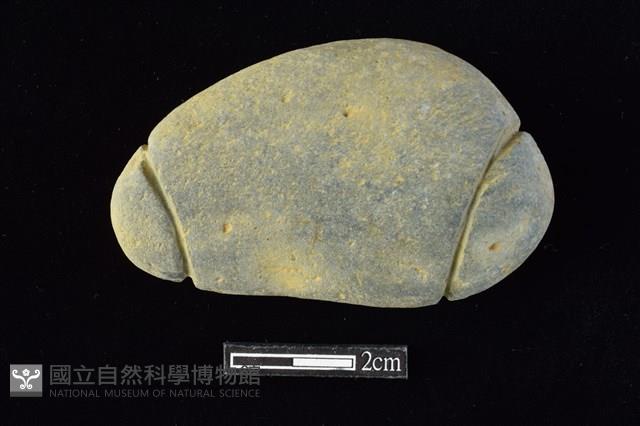 網墜藏品圖，第1張