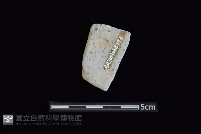 陶片藏品圖，第2張