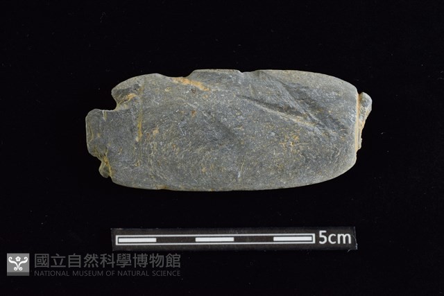 網墜藏品圖，第1張