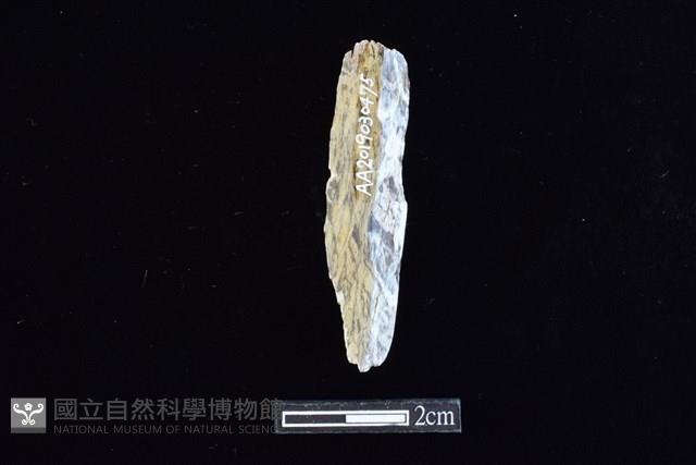 錛鑿形器藏品圖，第1張
