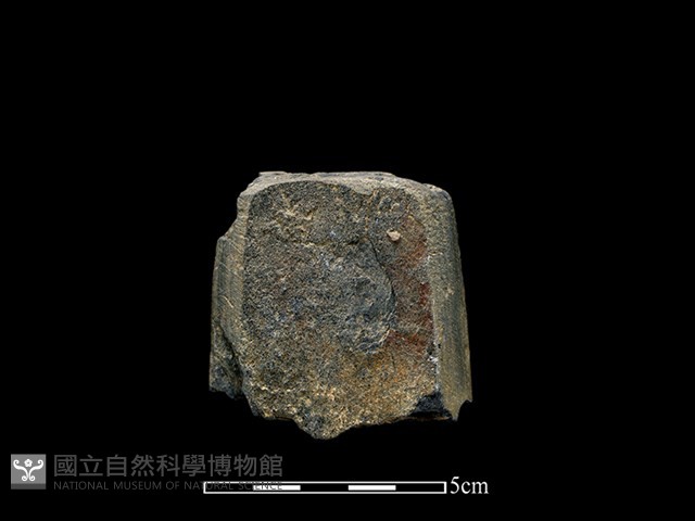 磨製斧鋤形器藏品圖，第1張