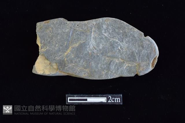 網墜藏品圖，第1張