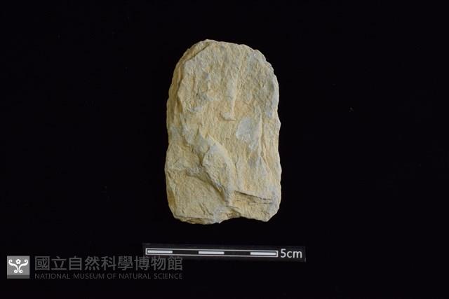 斧鋤形器藏品圖，第1張