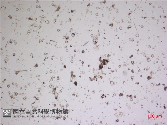 登錄號:A00004615藏品圖，第2張