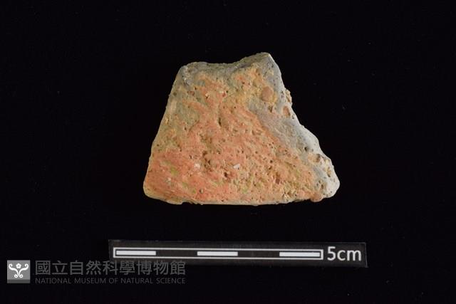 陶片藏品圖，第1張