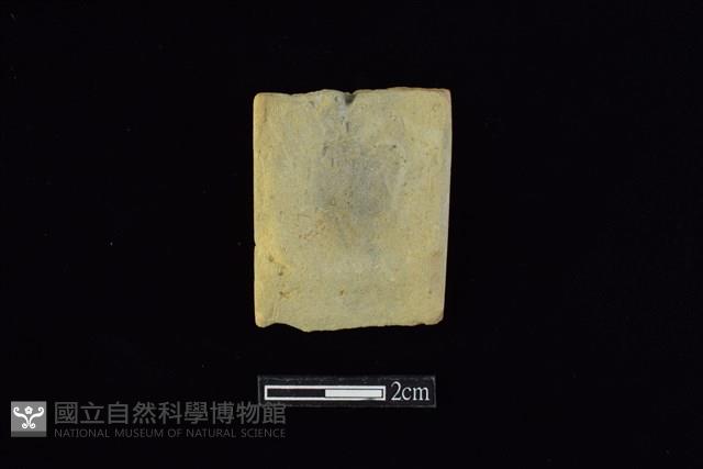 錛鑿形器藏品圖，第1張