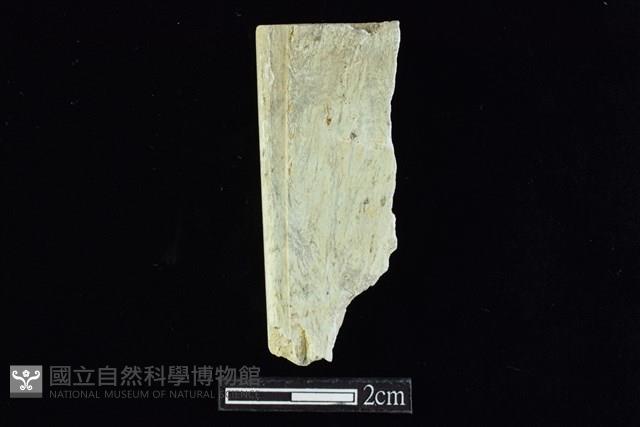 錛鑿形器藏品圖，第1張