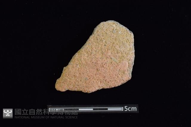 陶片藏品圖，第1張