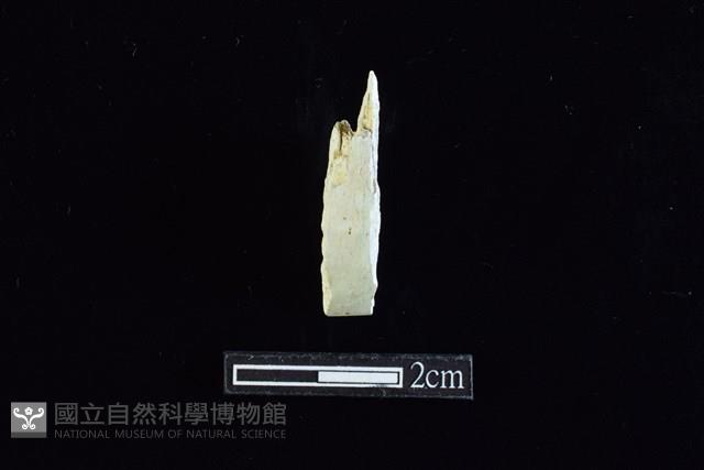 錛鑿形器藏品圖，第1張