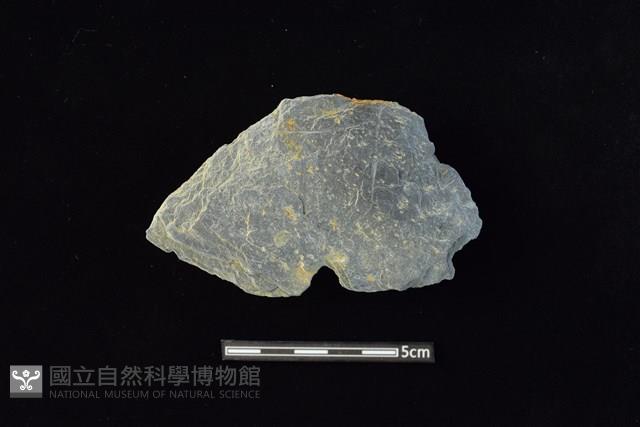 穿孔石板藏品圖，第1張