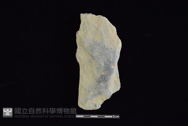 戈形器藏品圖，第1張