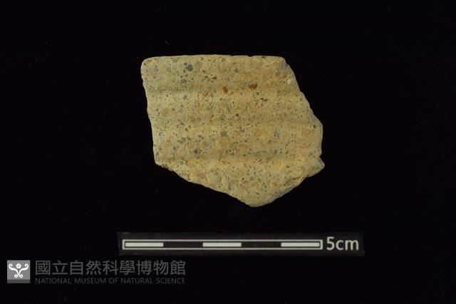 陶缽藏品圖，第1張