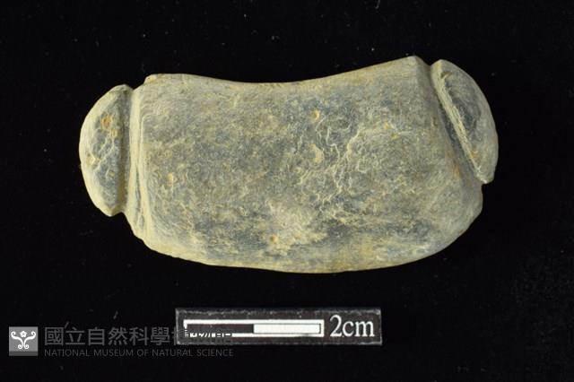 網墜藏品圖，第1張