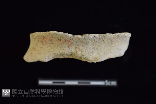 陶罐藏品圖，第1張