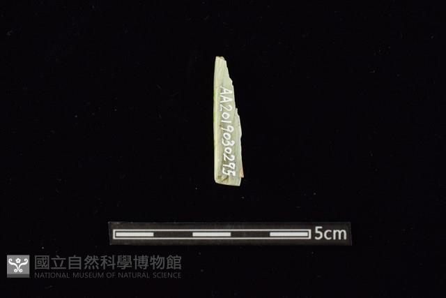 錛鑿形器藏品圖，第2張
