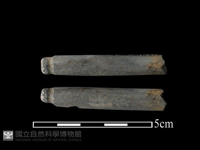 網墜藏品圖，第1張