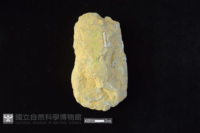 斧鋤形器藏品圖，第2張