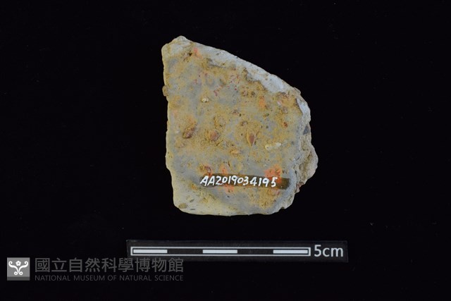 陶片藏品圖，第2張